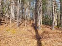 00000 Delacy Drive sold home in Hendersonville, SC