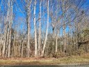 141 Wood Acre Drive sold home in Mooresville, SC