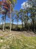 0000 East Garden Trail Lot 45 sold home in Hendersonville, SC