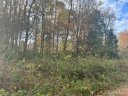 6627 Edna Street sold home in Huntersville, SC