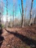 64 Corbin Mountain Road sold home in Zirconia, SC