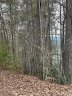 Lot 29 Waters Edge Drive sold home in Nebo, SC