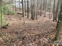 0 Summer Savory Court 66 sold home in Flat Rock, SC