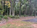 00 Deer Track Drive 14 sold home in Denver, SC