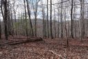79 Longview Trail sold home in Bostic, SC