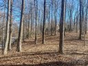 135 Corbin Mountain Road 85 sold home in Zirconia, SC