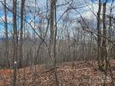 48 Peseco Drive sold home in Bostic, SC