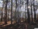 Lot 11 Stonemarker Road sold home in Mooresville, SC