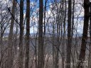 Tbd Bobcat Mountain Road 21 sold home in Purlear, SC
