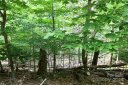 102 Blackberry Trail 235/C sold home in Beech Mountain, SC
