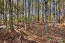 1375 Southpointe Drive sold home in Morganton, SC