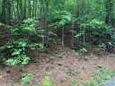 Lots 198 200 Mckenzie Way sold home in Old Fort, SC