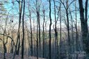 0 Fire Tower Road 17 sold home in Bostic, SC