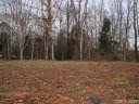 1016 Peninsula Drive sold home in Belmont, SC