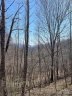 000 Trotters Trail sold home in Waynesville, SC