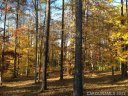 9262 Egret Ridge Drive 30 sold home in Belmont, SC