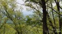 36 37 S Valley View Drive sold home in Mars Hill, SC