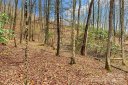 V L Hemlock Drive 131 sold home in Black Mountain, SC