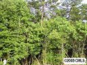 Lot 68 Beechwood Road sold home in Denver, SC