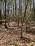 0 Fox Den Road sold home in Troy, SC