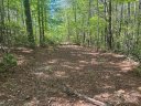 Lot 11 Pisgah Preserve Drive sold home in Nebo, SC