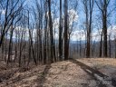17 Twin Springs Court sold home in Fairview, SC
