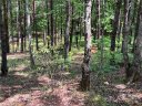 000 Mcdaniel Court 23 sold home in Lake Lure, SC