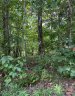 Tbd Mountain Lookout Drive 78 sold home in Bostic, SC