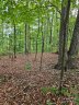 0 Deer Jump Trail 347 sold home in Lake Lure, SC