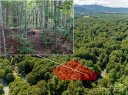 99999 Hickory Creek Court Lot 8 sold home in Arden, SC