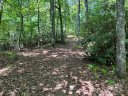 000 Open Ridge Trail 30 sold home in Pisgah Forest, SC