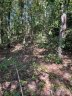 446 Mint Street sold home in Rock Hill, SC
