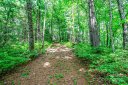 Tbd Big Branch Road sold home in Brevard, SC