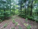 999 Laurel Thicket Lane sold home in Brevard, SC