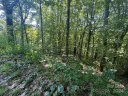 229 Hanging Rock Road sold home in Mars Hill, SC