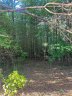 Tbd Hidden Lake Parkway 50 sold home in Nebo, SC