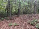 0 Waters Edge Drive 19-15 sold home in Nebo, SC