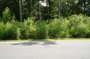 1019 Dacavin Drive 28 sold home in Charlotte, SC