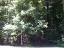 927 Briarcliff Road sold home in Mooresville, SC