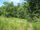 176 Winding Cedar Drive sold home in Statesville, SC