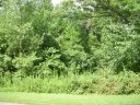 4795 Rocking Horse Drive sold home in Maiden, SC