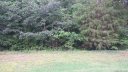 4960 Surfwood Drive 69 sold home in Sherrills Ford, SC