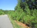 115 Big Bertha Drive 37 sold home in Statesville, SC
