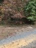 000 Woodhaven Lane sold home in Indian Trail, SC