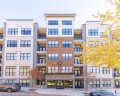 55 S Market Street 512 sold home in Asheville, SC