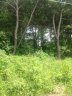 20400 Rainbow Circle sold home in Cornelius, SC