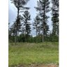 2266 Jumping Run 33 sold home in Connelly Springs, SC