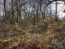 99999 Stoner View Road 14 sold home in Asheville, SC