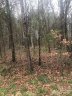 105 Spring Run Drive 134 sold home in Mooresville, SC