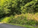 0 Rising Sun Road 84 sold home in Mars Hill, SC